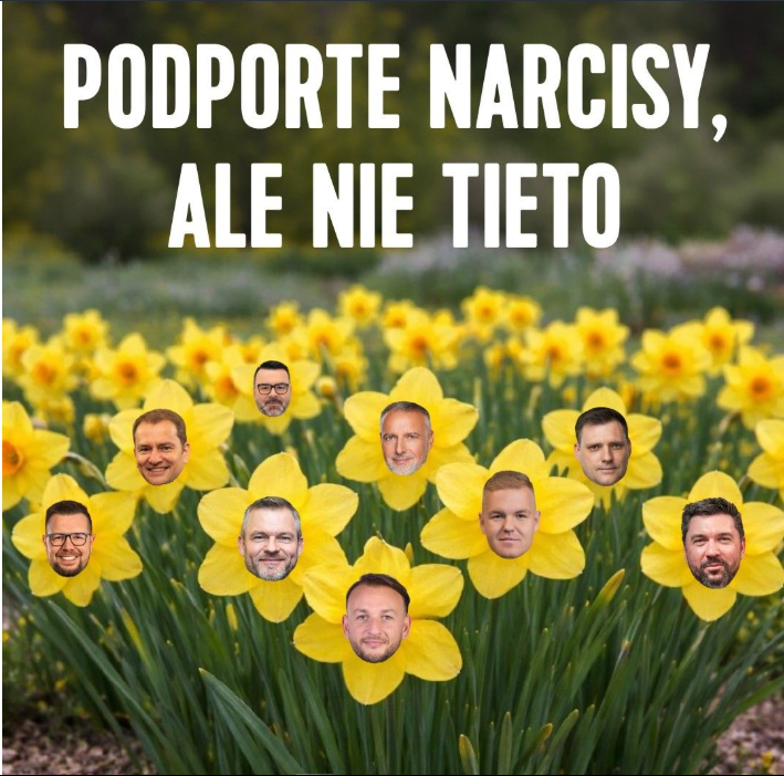Status PS na Deň narcisov